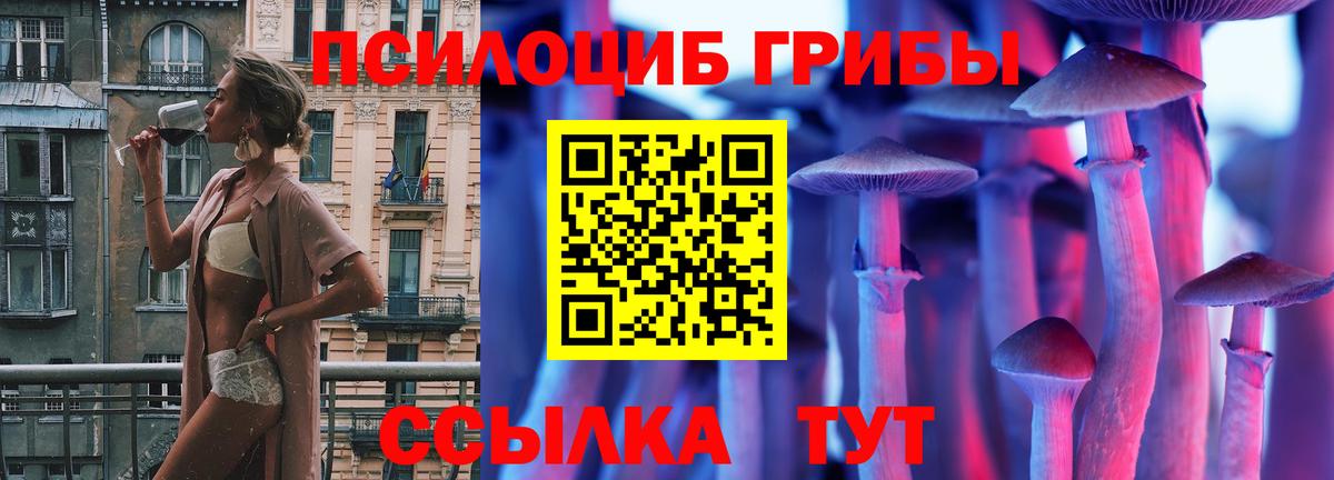 Псилоцибиновые грибы Psilocybine cubensis  Псилоцибиновые грибы мицелий  Верхняя Салда  Вход с VPN 